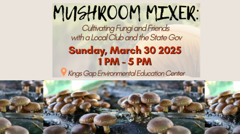 mushroom mixer