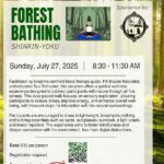 Forest Bathing