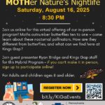 Mother Nature's Nightlife