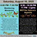 Pollinators: Night and Day