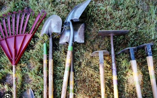 Volunteer Work Day: November