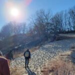 Winter Wellness Walks