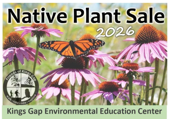 Native Plant Sale
