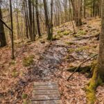 Welcome Spring Hikes