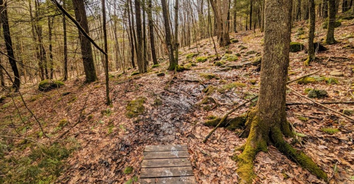 Welcome Spring Hikes
