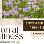 Colonial Wellness
